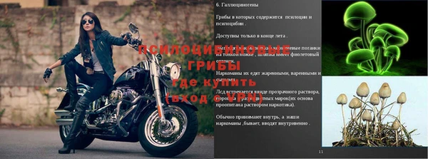мескалин Балахна