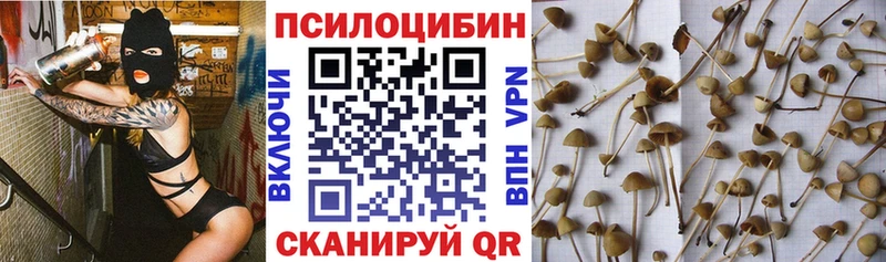 нарко площадка как зайти  Краснодар  Галлюциногенные грибы Magic Shrooms 